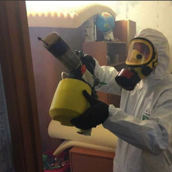 Уничтожение клопов в квартире. Ступино